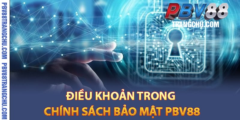 Điều khoản trong chính sách bảo mật Pbv88