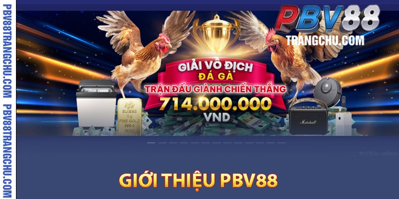 Giới thiệu Pbv88 về hoạt động hợp pháp